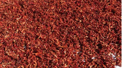 GÜNEŞTE KURUTULMUŞ TUZLU DOMATES ŞERİT KESİM